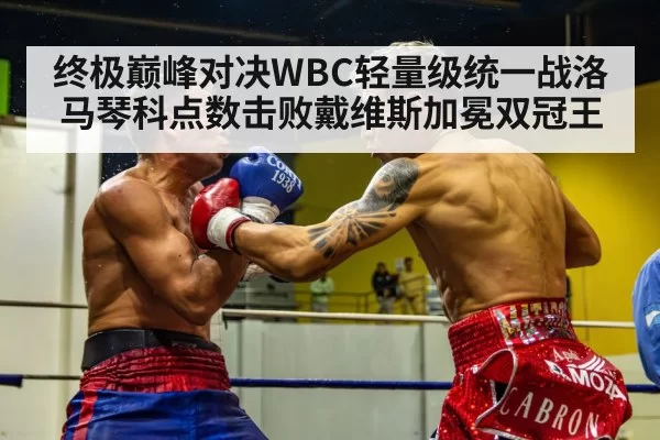 boxing fight action